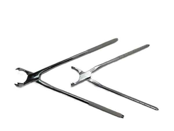 4-prong-horse-&-pony-2