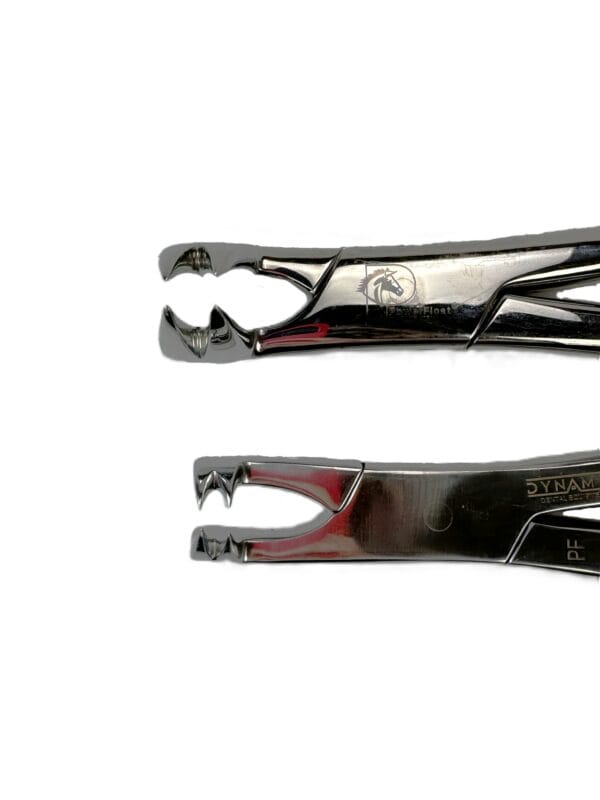 4-prong-horse-&-pony-3