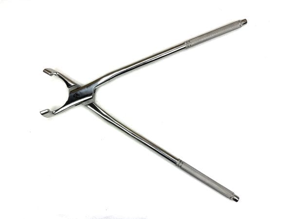 Equine Lower Molar 2