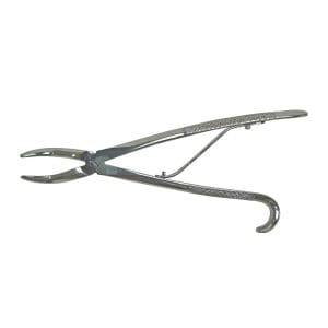 Wolf Tooth Forceps 11"