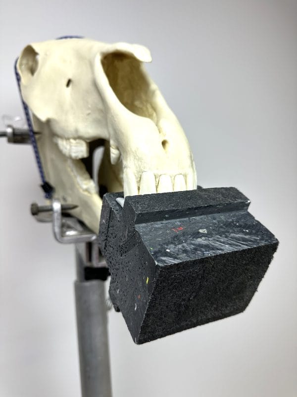 Dental X-ray Block