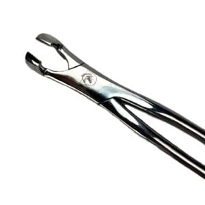 Equine Forceps