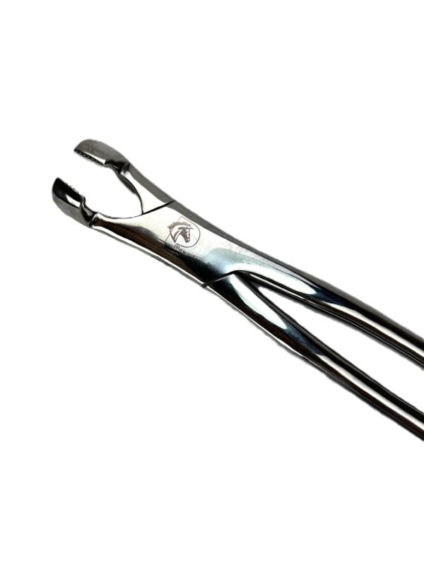 Equine Forceps