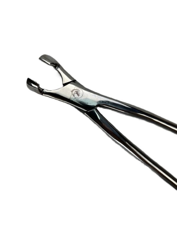 Equine Forceps