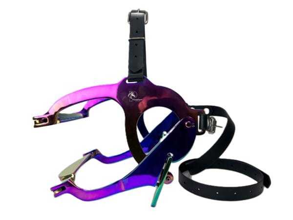 Equine Speculum purplea