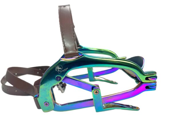 millennium-speculum-closed